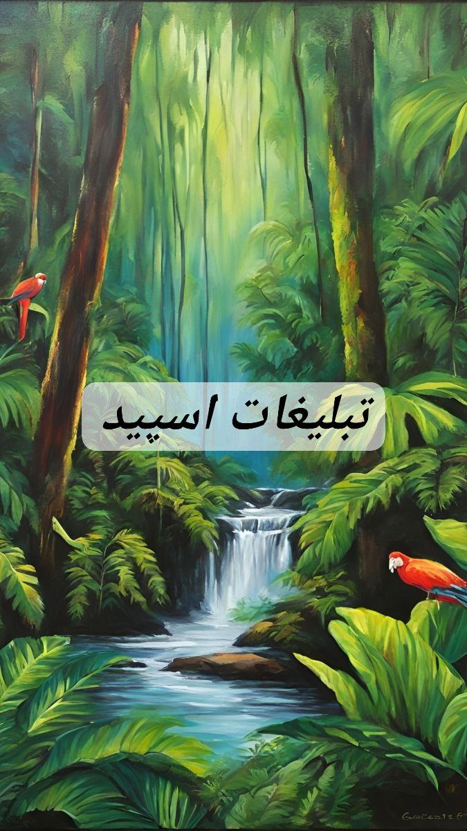 گروه تلگرام چتر خیس