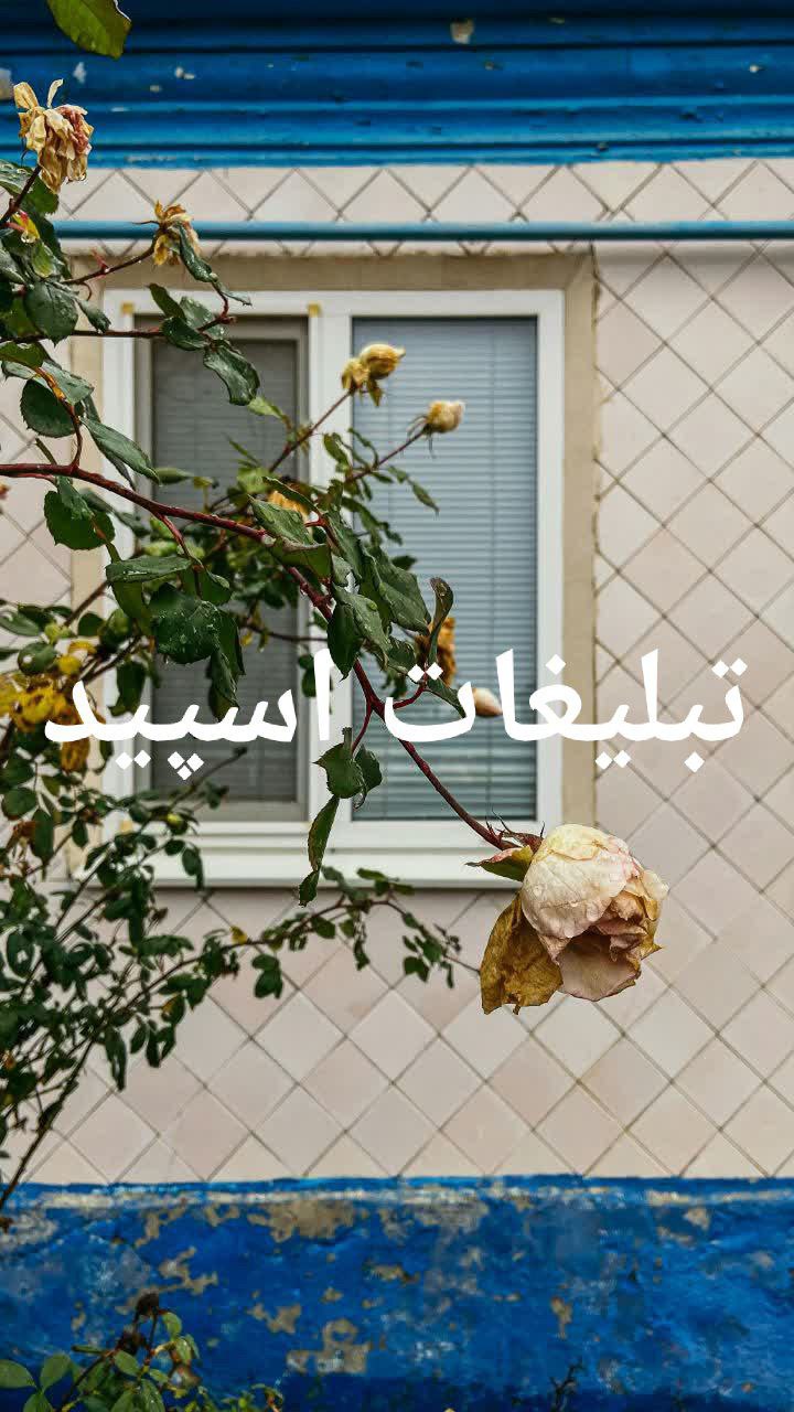 گروه چت تلگرام رفقای ابدی