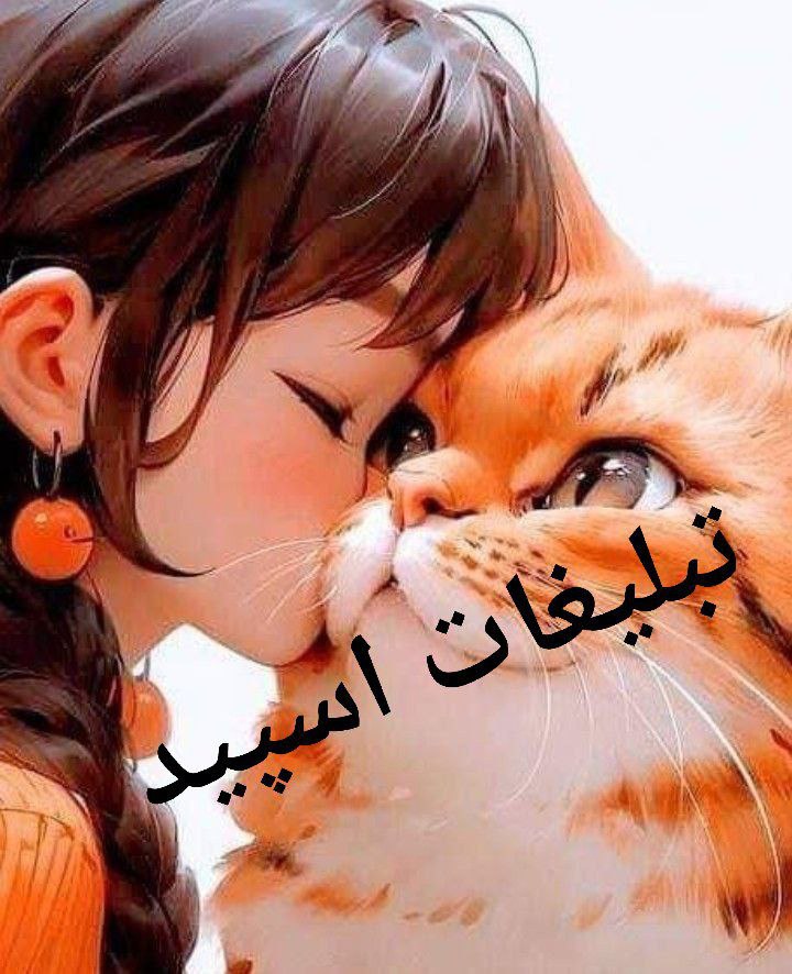 چتکده تهران کرج
