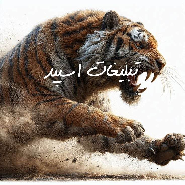 گپ تلگرام TNT