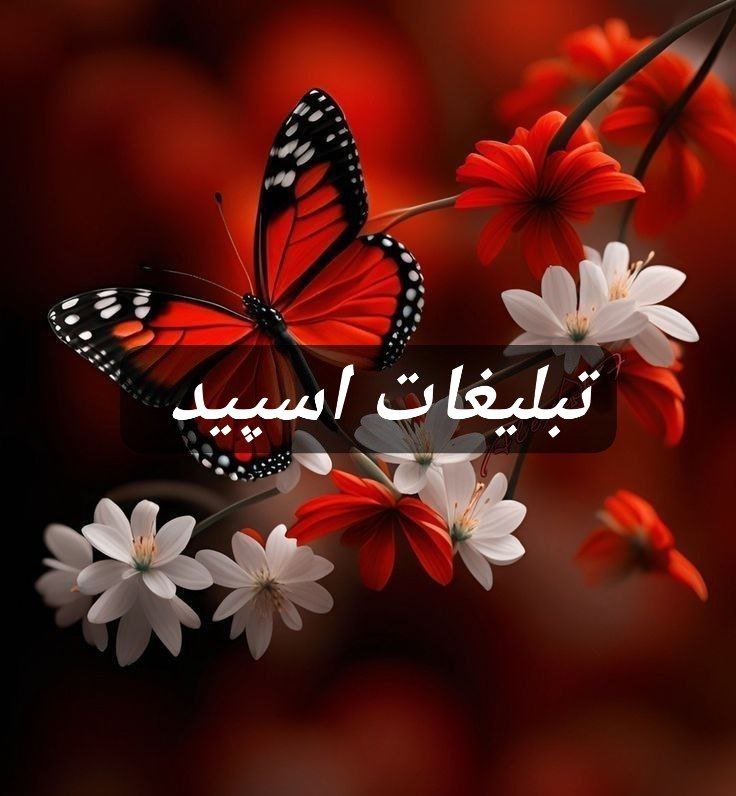 گروه تلگرام جاده دوطرفه