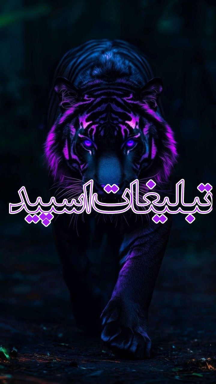 وایلد ولف (17)