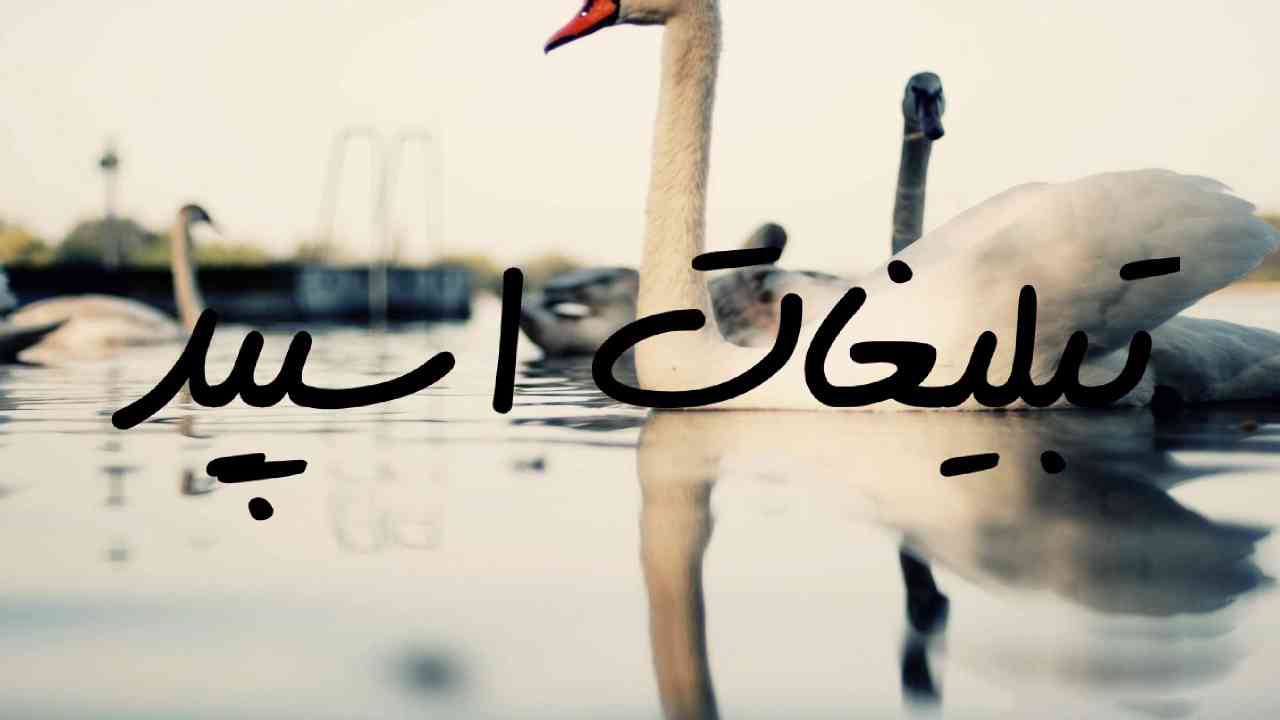 گروه چت تلگرام رفقای ارومیه و اردبیل
