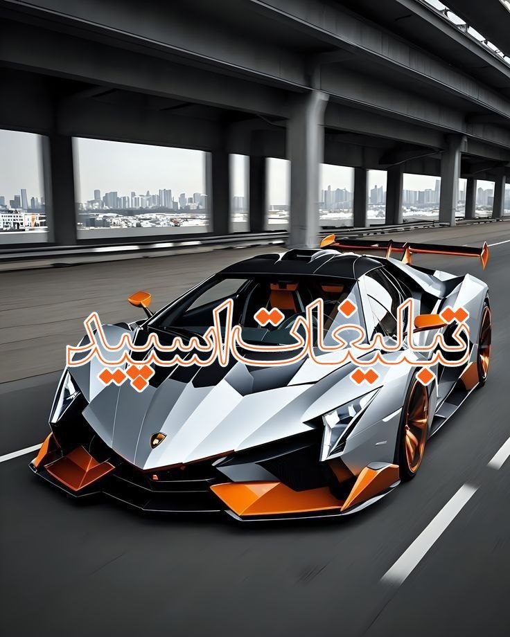 گرگ های ایرانی (4)