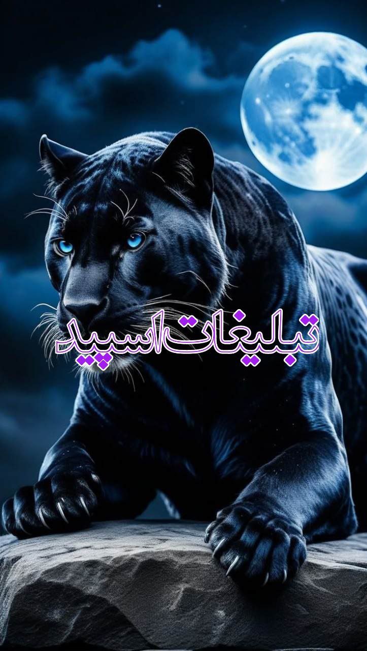 Real Friends 🎀✨