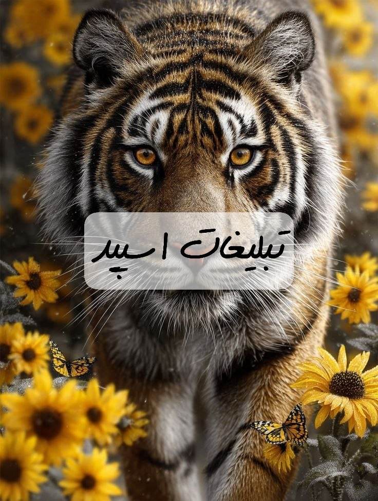 گروه تلگرام آسمان ابری خاش