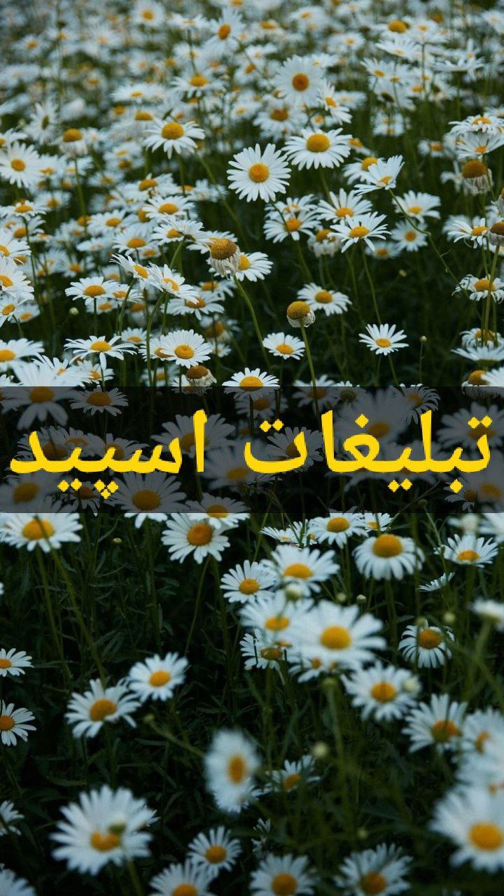 دوستان با معرفت (10)