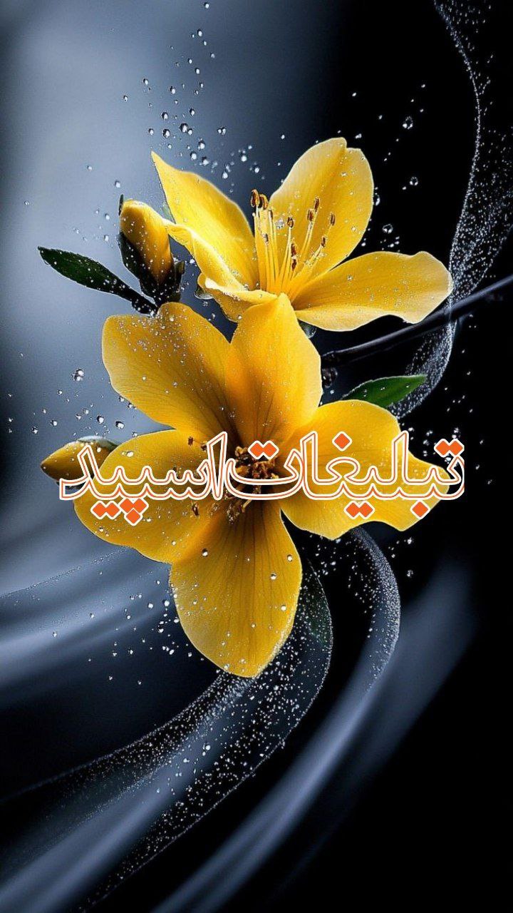 🕊♛ 𝕯𝑬𝐋 𝐂ⅈ𝑻Ꭹ ☬ (3)