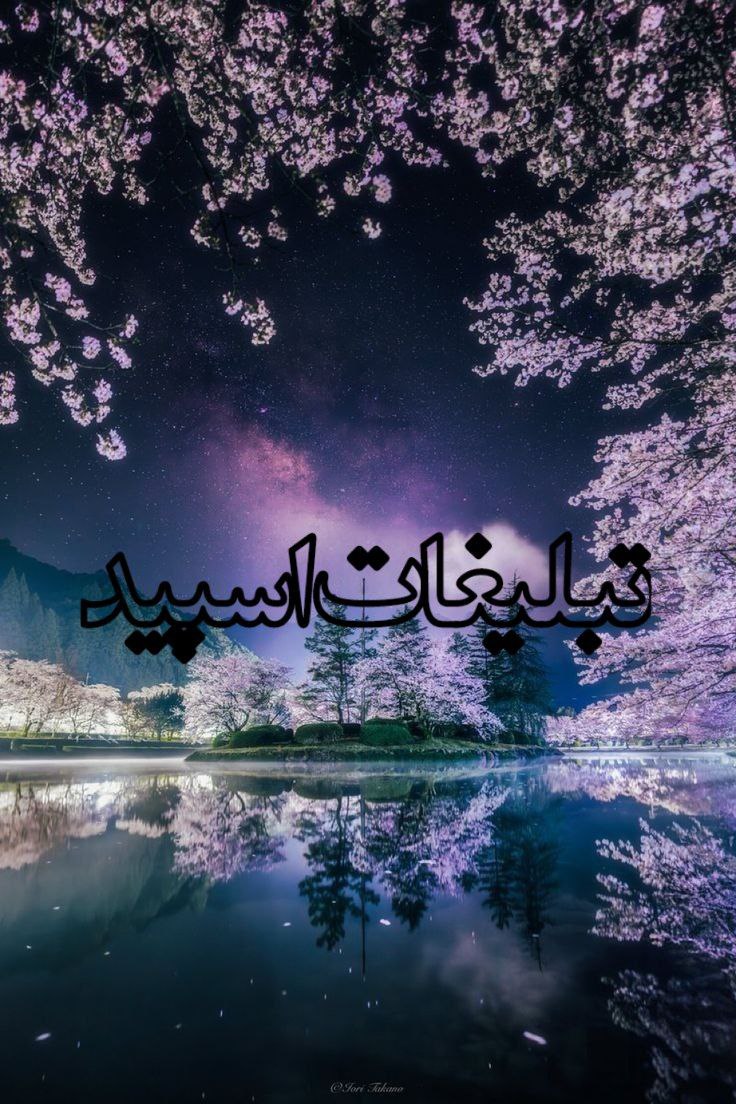 قلمروی ملکه (9)