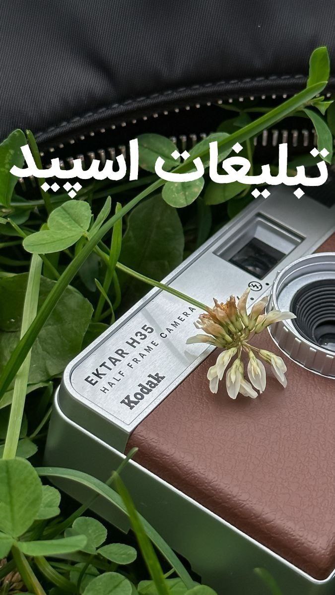 گروه چت تلگرام شیرازیا