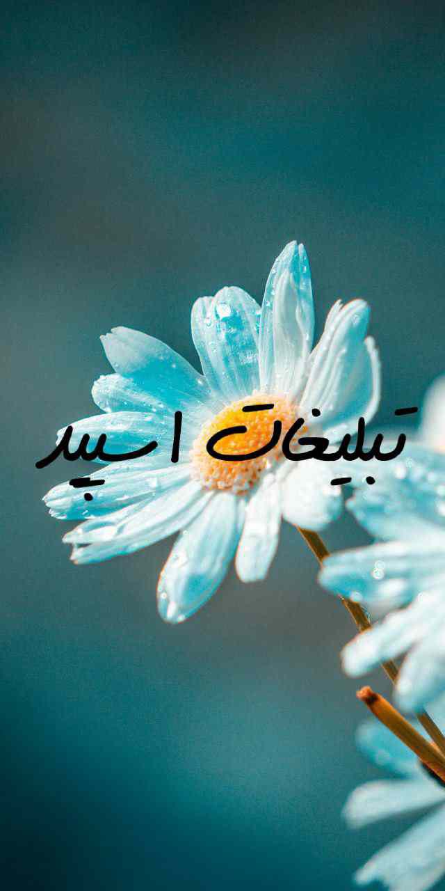 گروه چت ایتا نگین ایران