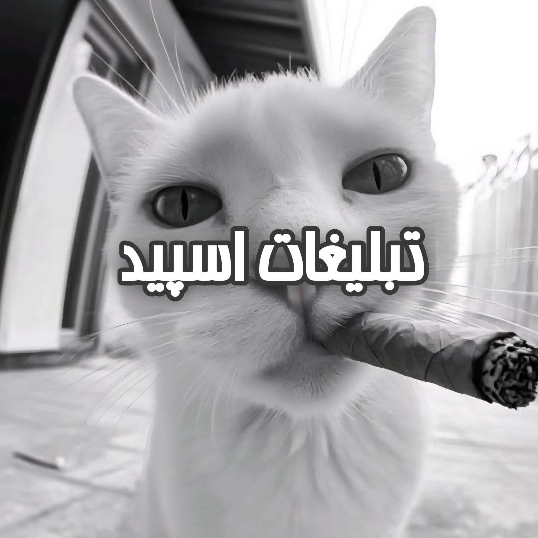 گپ تلگرام دورهمی دوستان 