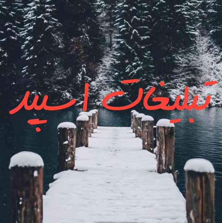 گروه چت تلگرام وایلدولف