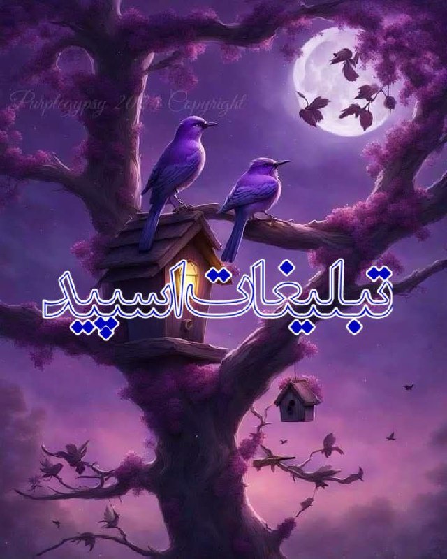 دوستان ماندگار 💞
