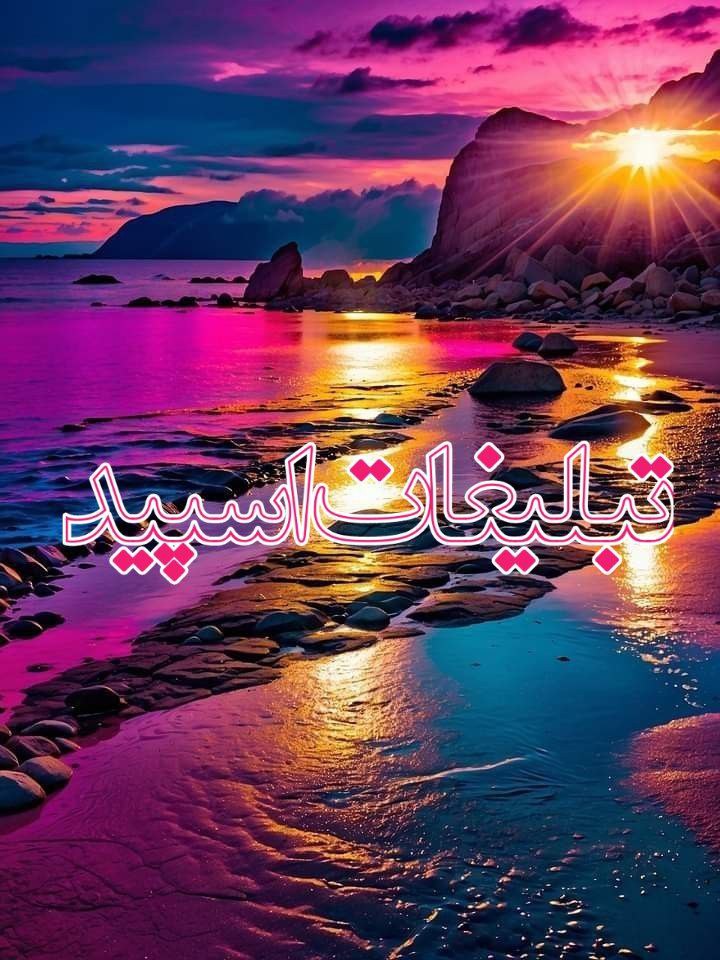 گروه نابی پارتی