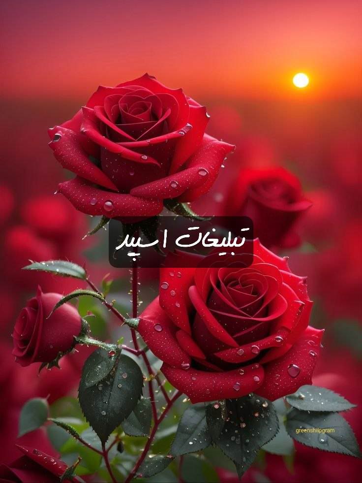 گپ تلگرام لاکچریای شیراز