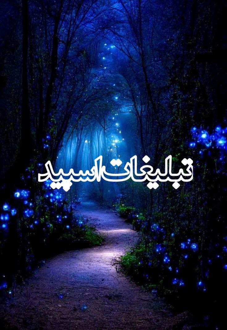 وایلد ولف|WILD WOLF (20)