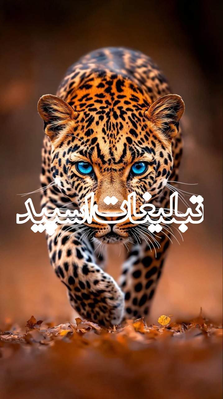 دوستان بامعرفت (29)