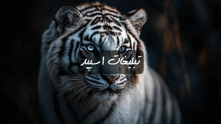 گپ تلگرام گودلند