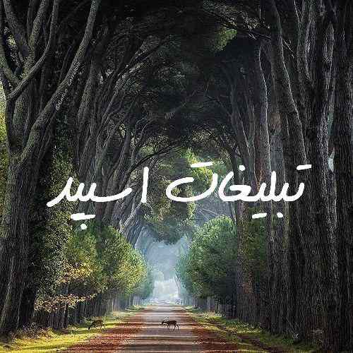 گروه چت تلگرام دورهمی بامعرفتها