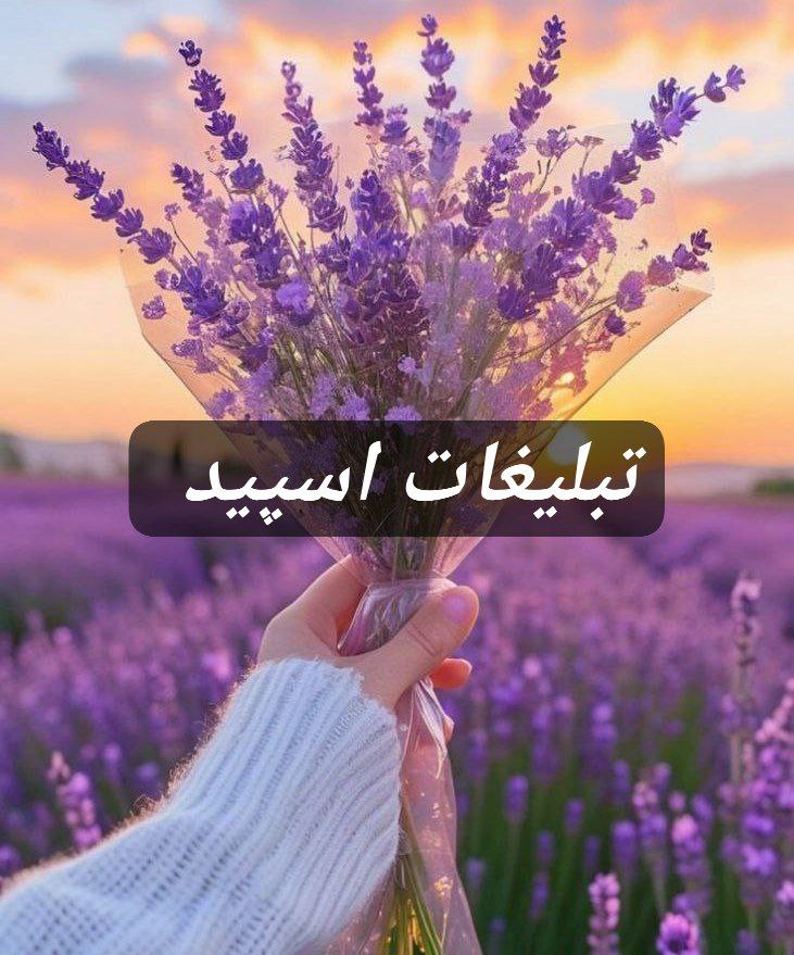 گپ تلگرام سیتی لند