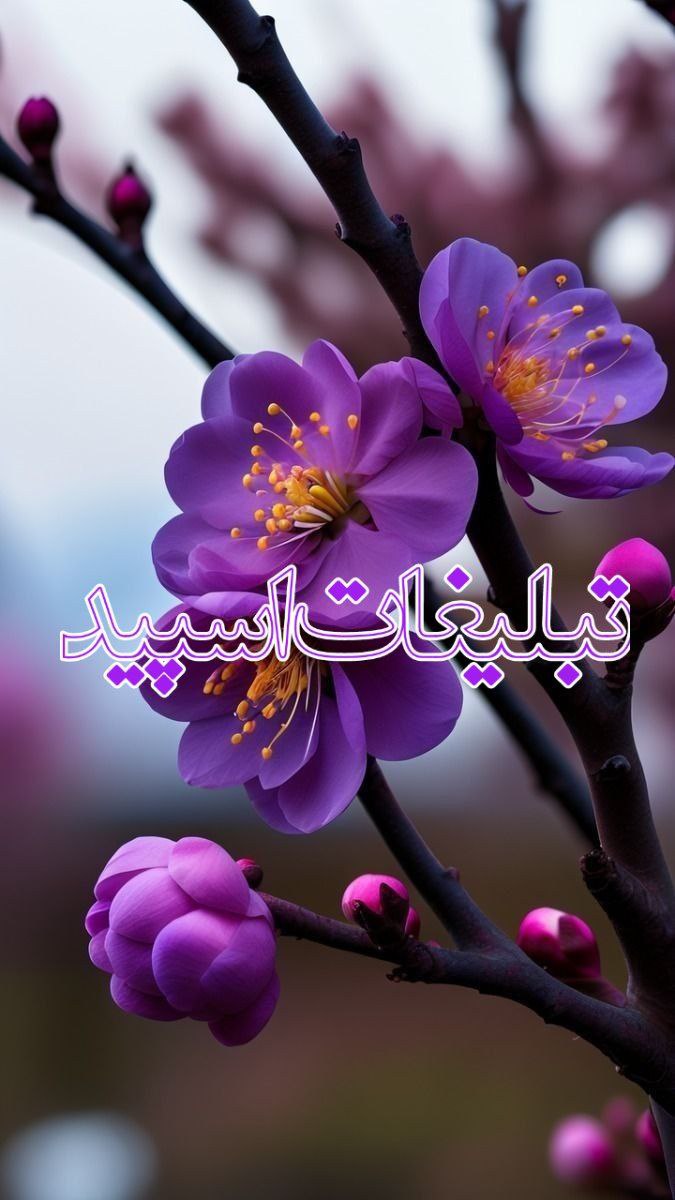 دوستان بامحبت