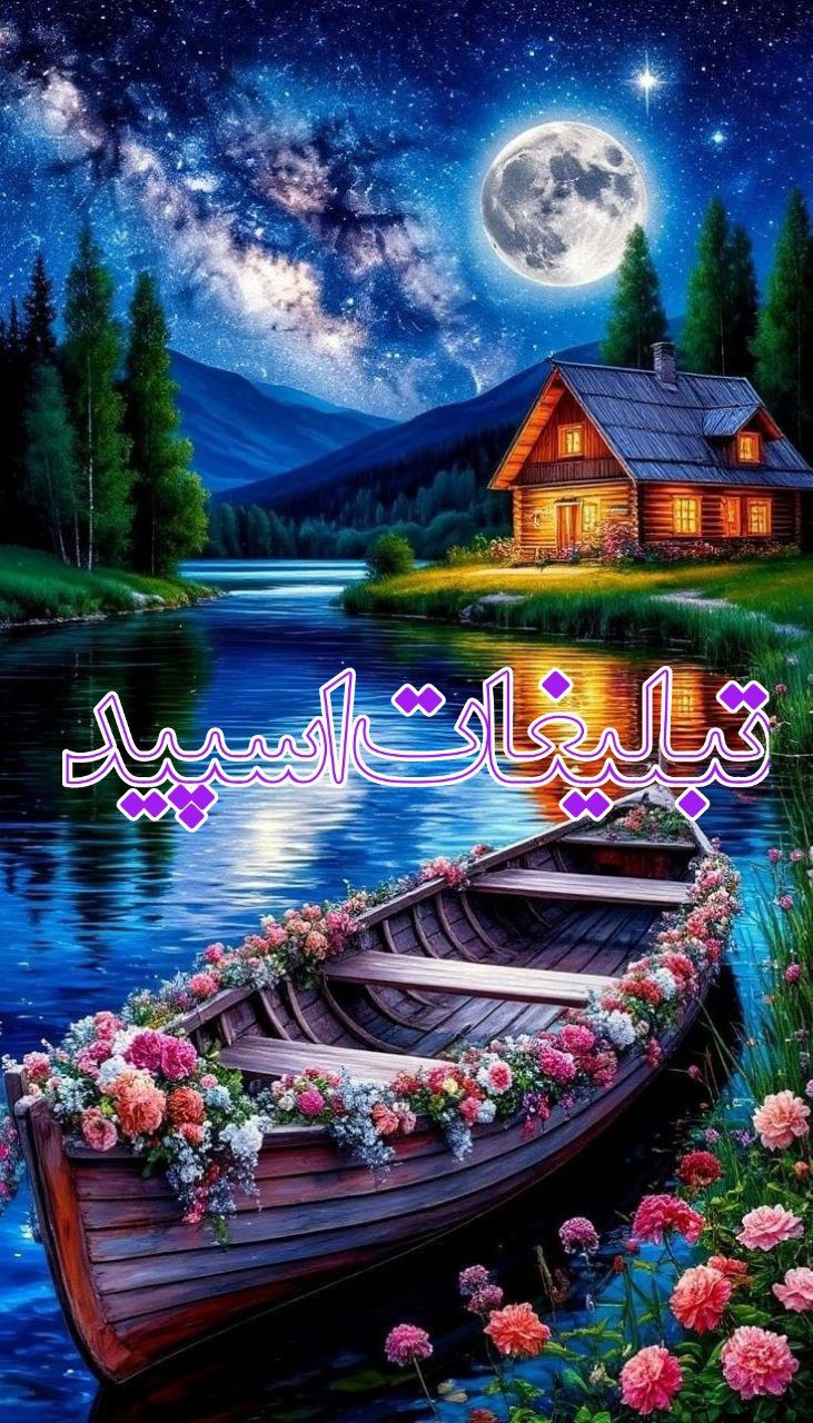 وایلد ولف (15)