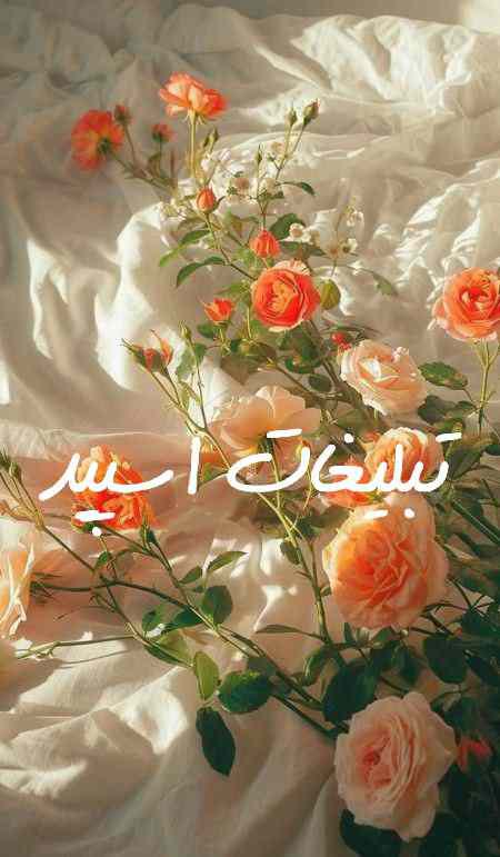 گروه چت تلگرام آلاچیق دوستانه