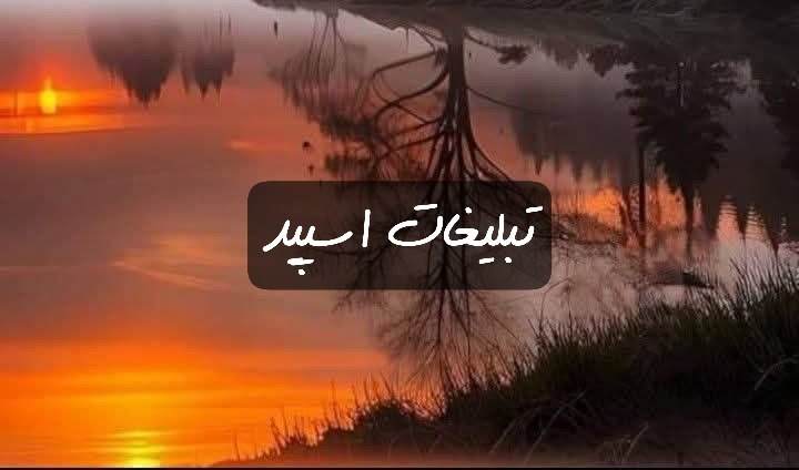 گروه تلگرام هول بازی