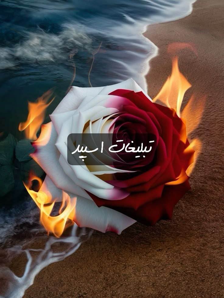 گپ تلگرام پرشین