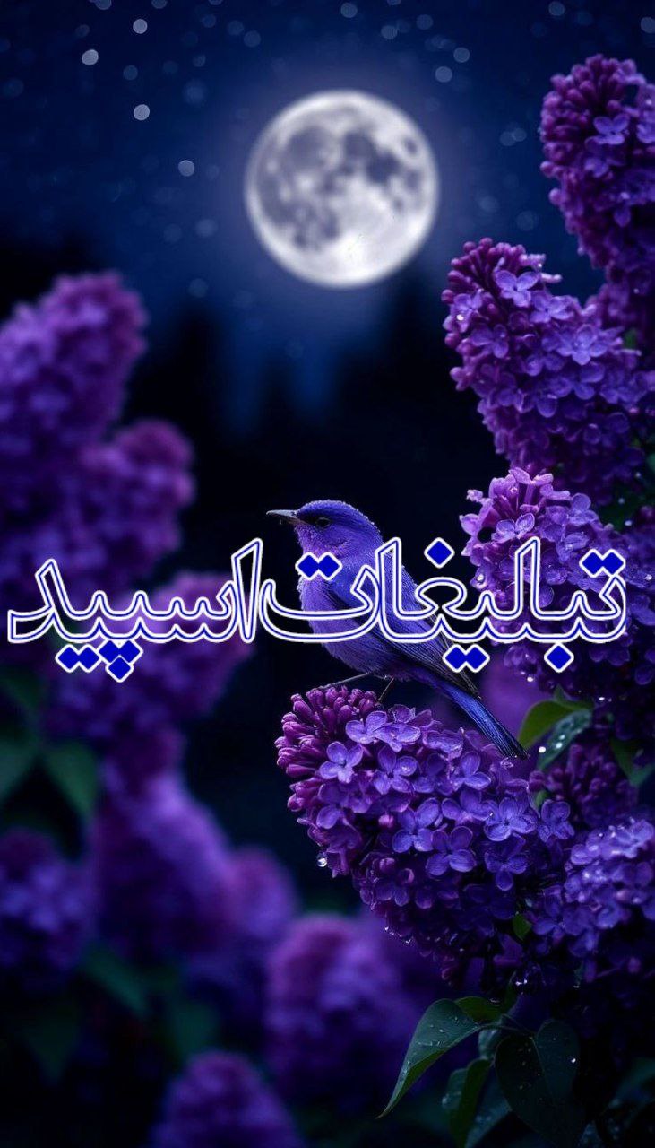 گلچین بامعرفتا 🌹 (6)