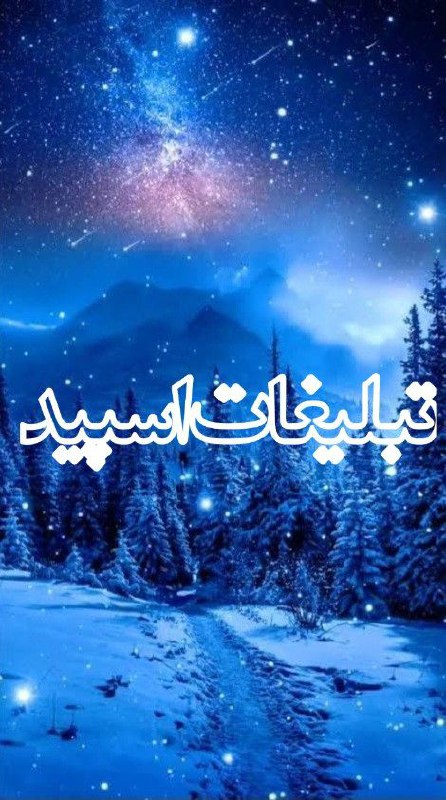 وایلد ولف|WILD WOLF (98)