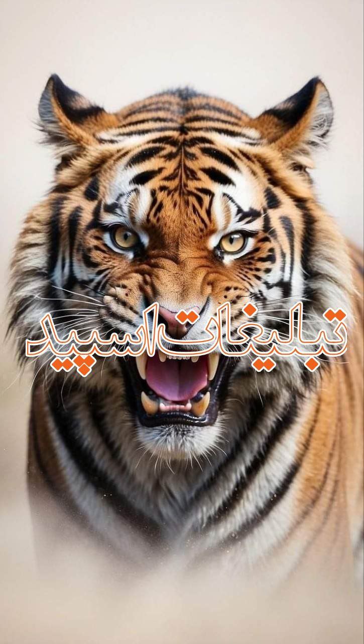 ⸼▹🔥⸼⚜️دوسـتـان مـانـدگـار⚜️››▽͟͞𖠇▴