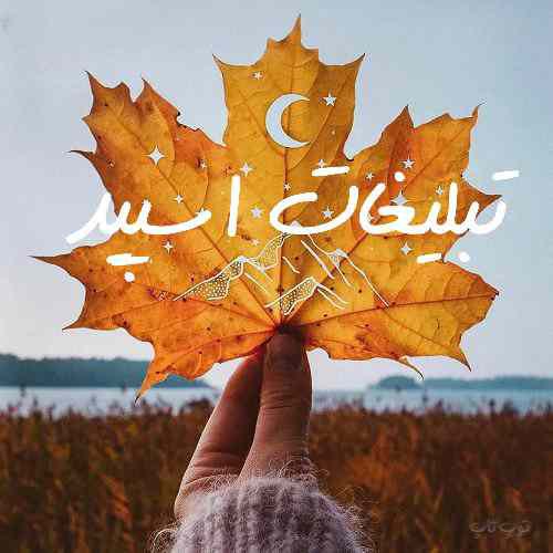 گروه چت تلگرام کلبه عشق و دوستی