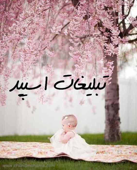 گروه واتساپ ارزانسرای شیک پوشان