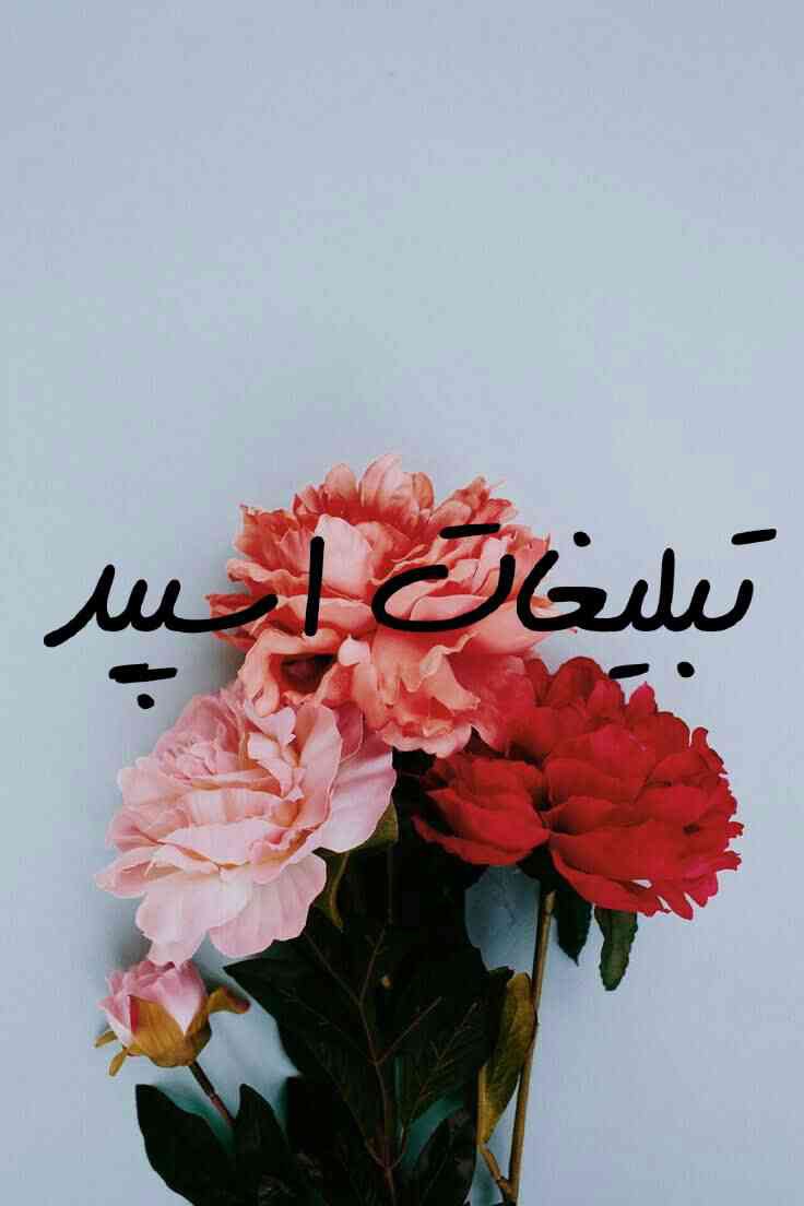 گپ تلگرام تورک اردبیل و تبریز