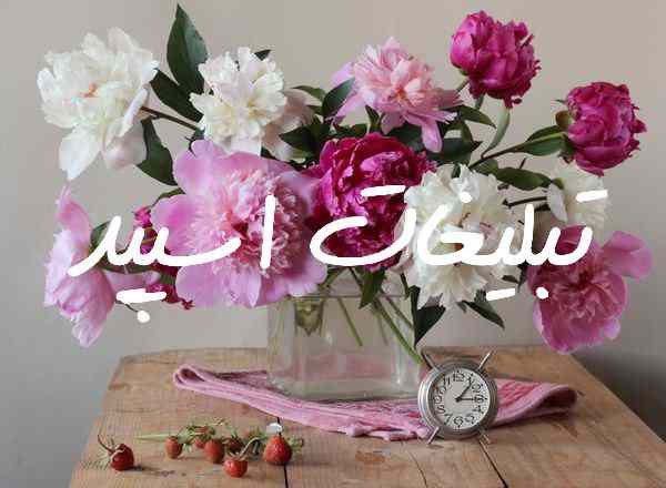 گروه چت روبیکایی the poor