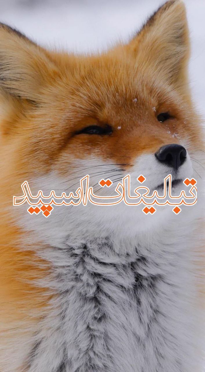 محفل امیر دوستان (5)