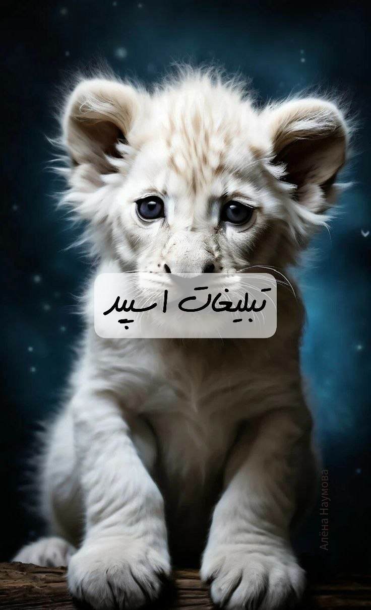 گروه تلگرام پلنگای جذاب رامسر