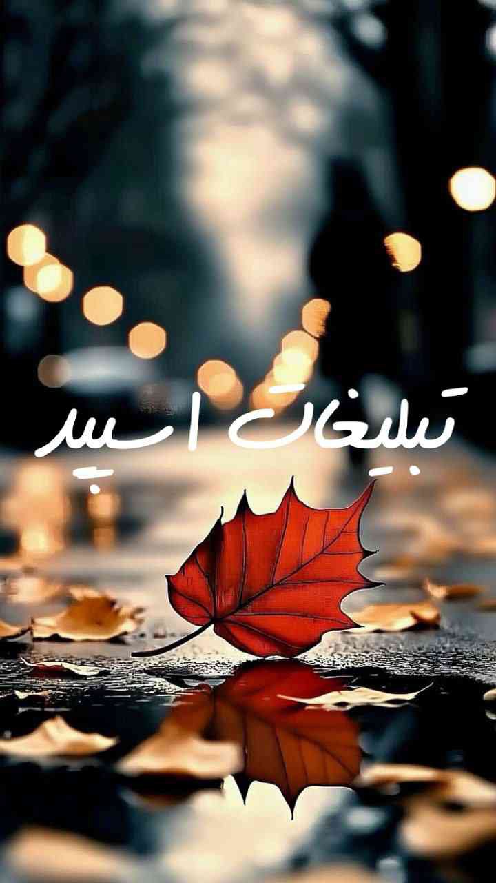 گپ تلگرام چتکده