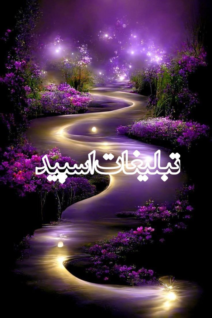 وایلد ولف (222)