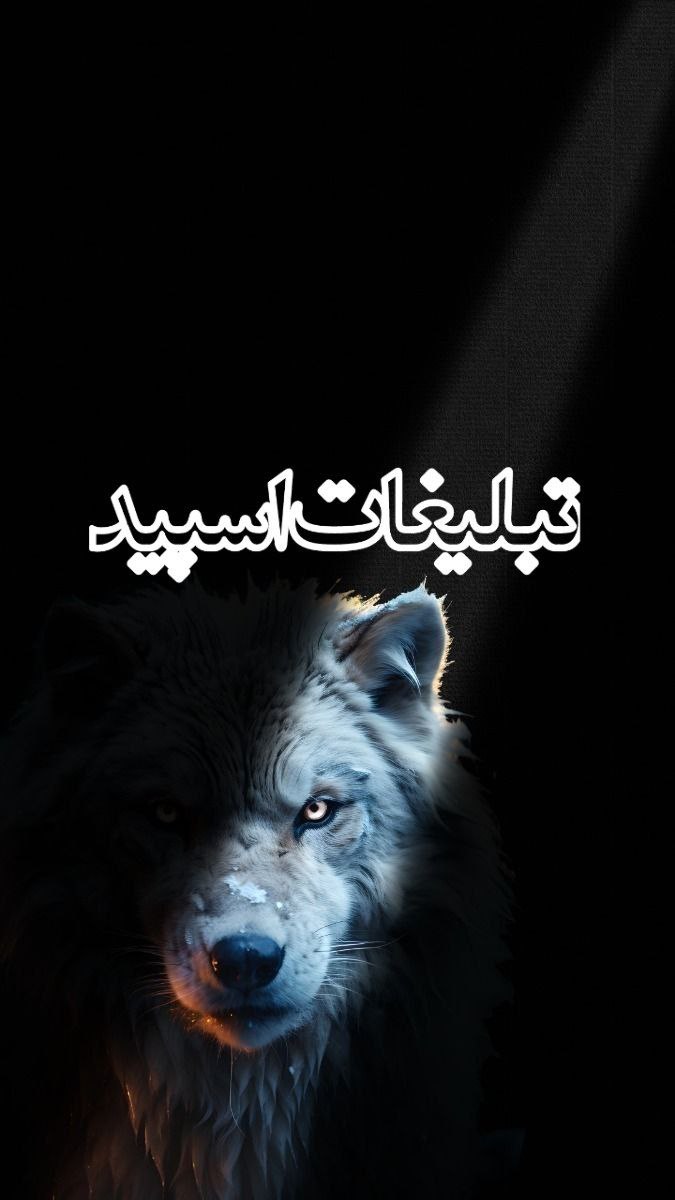 دوستان لاکچری (4)