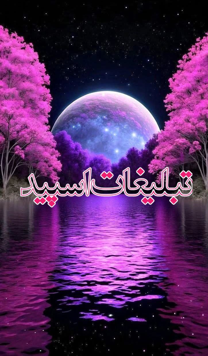 وایلد ولف|WILD WOLF (31)