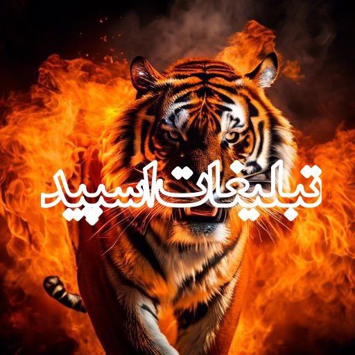 لاکچریا ناب (4)