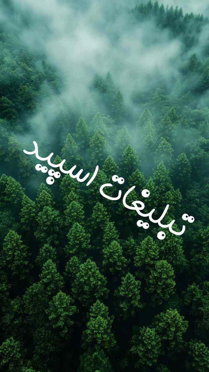 پیج اشپزی مطبخ خاتون