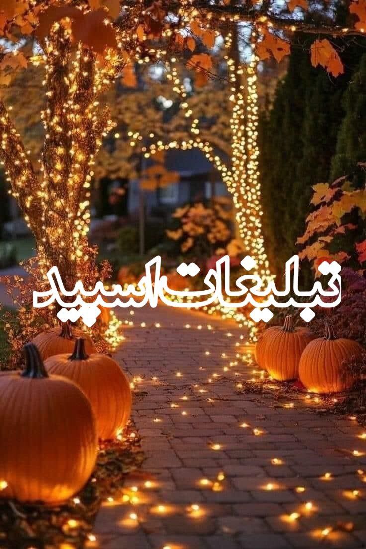 دورهمی دوستانه (13)