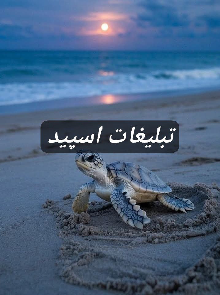 گپ تلگرام لوتی های بامرام 