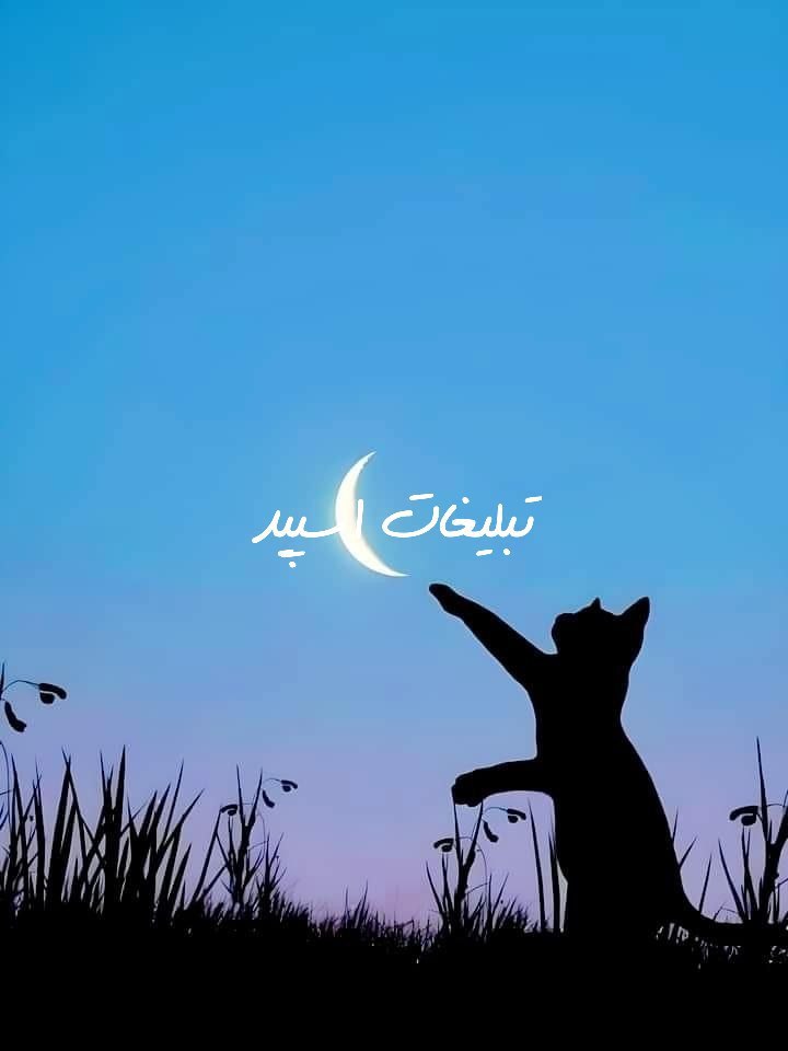 گپ تلگرام وایلدولف