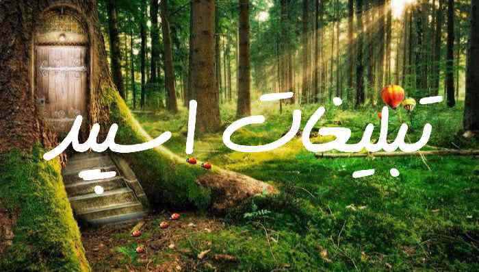 گروه چت تلگرام دختر پسرای تهران کرج