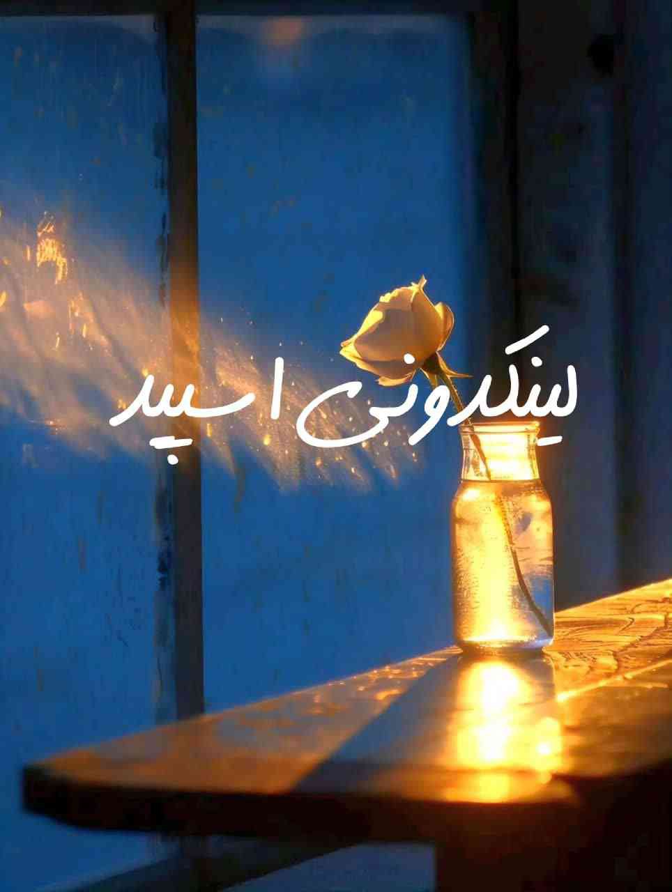 گروه چت تلگرام دورهمی گژال 